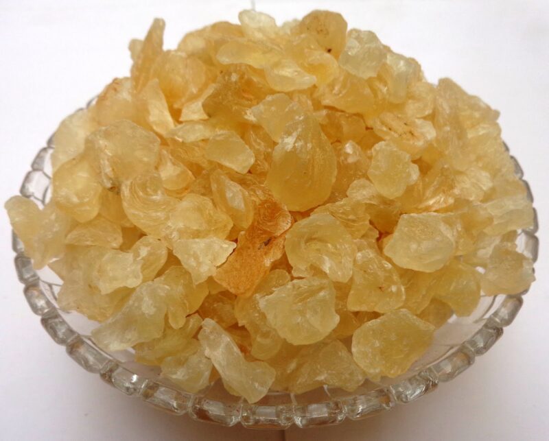 Unveiling 4 Remarkable Benefits of Including Gond Katira in Your Summer Routine