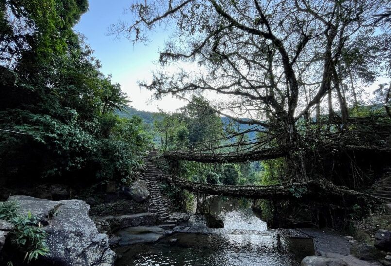 Muddie Trails Crosses 50,000 Travelers and Opens New Journeys into Tawang and Meghalaya